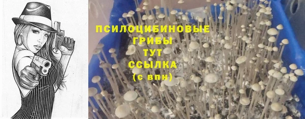 меф Александровское