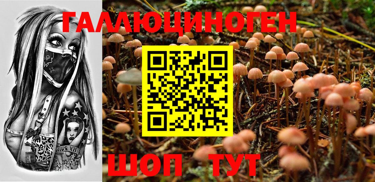 Псилоцибиновые грибы прущие грибы  Псилоцибиновые грибы Psilocybe  Батайск  Вход с VPN 