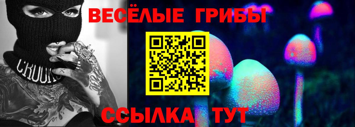 Псилоцибиновые грибы MAGIC MUSHROOMS Батайск
